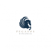 Pegasos Finance GmbH